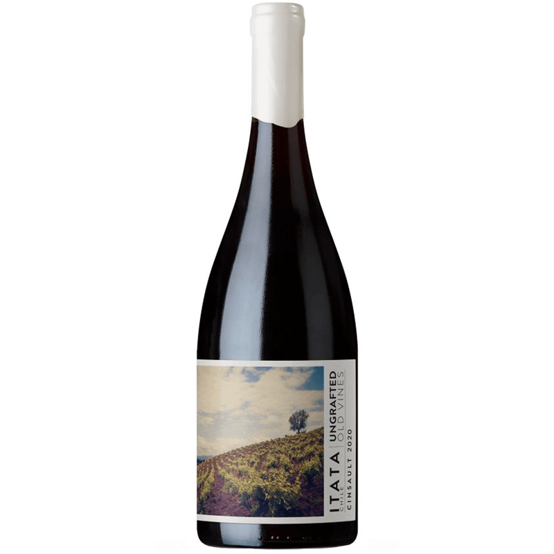 Vinho Tinto Chileno De Martino Ungrafted Cinsault 750ml
