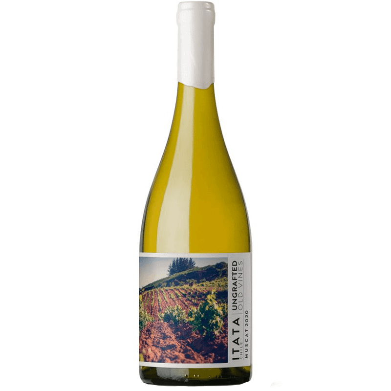 Vinho Branco Chileno De Martino Ungrafted Muscat 750ml