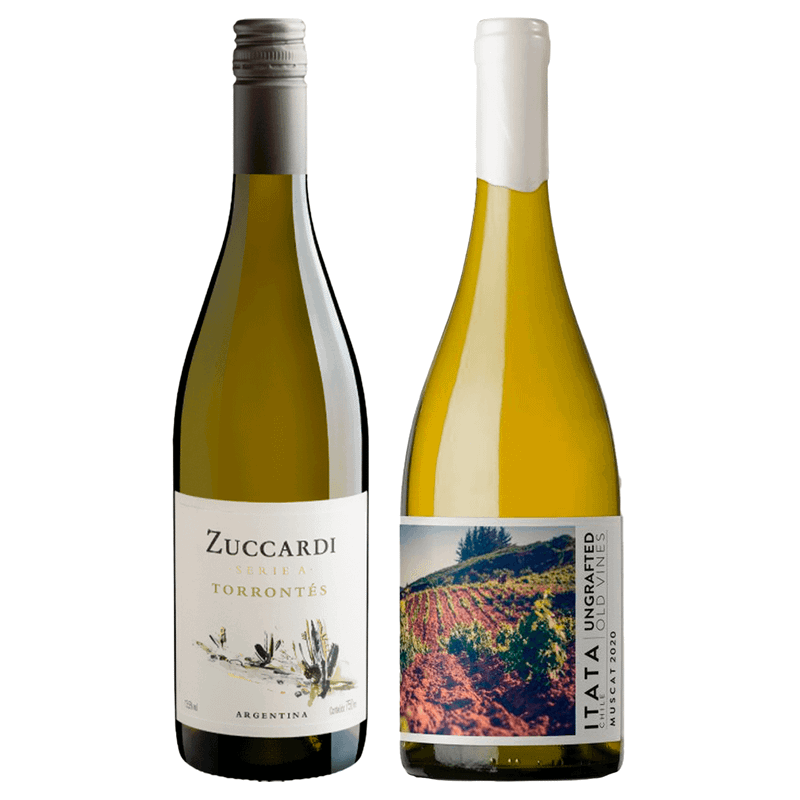 Kit 2 Vinhos Brancos Zuccardi Serie A Torrontés/ De Martino Ungrafted Muscat