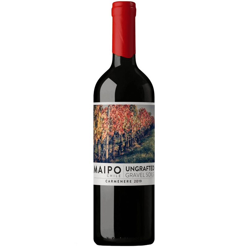 Vinho Tinto Chileno De Martino Ungrafted Carménère 750ml