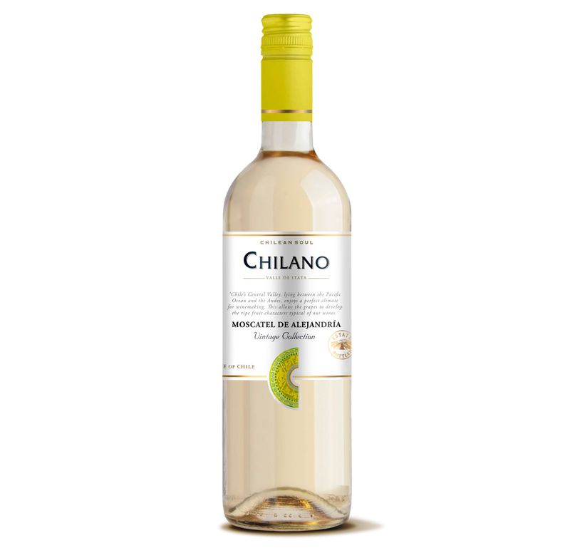 Vinho Branco Chileno Chilano Moscato 750ml