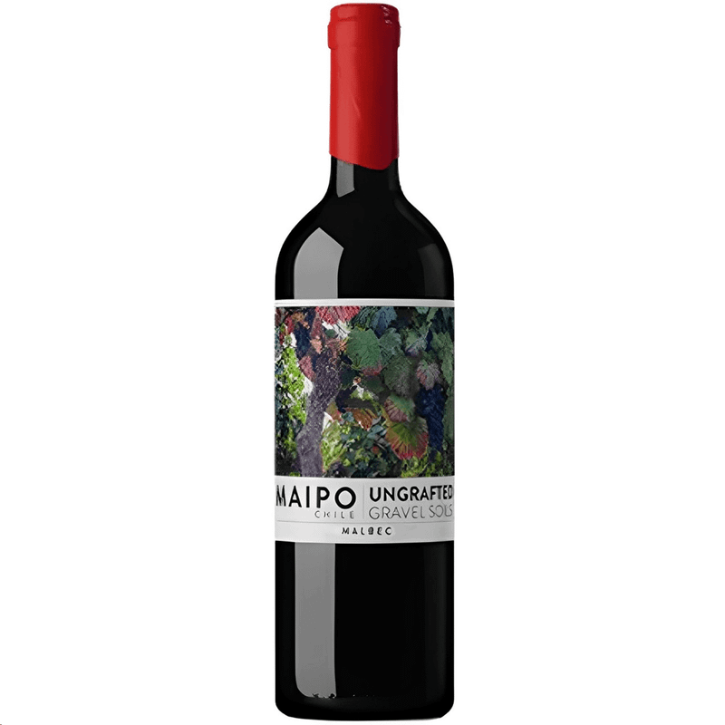 Vinho Tinto Chileno De Martino Ungrafted Malbec 750ml
