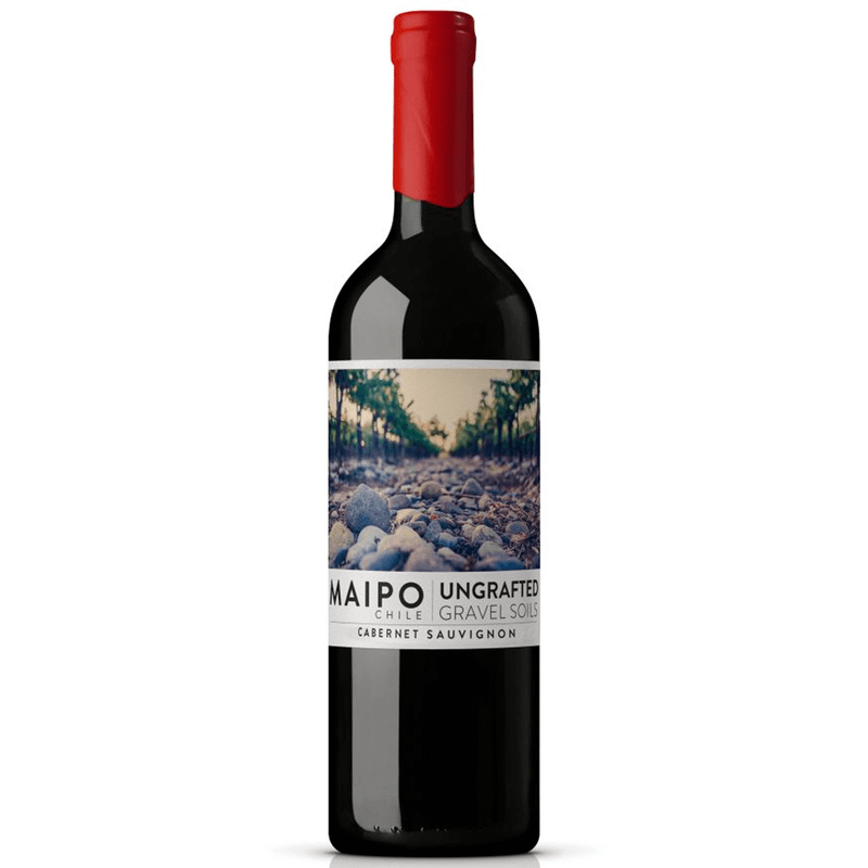 Vinho Tinto Chileno De Martino Ungrafted Cabernet Sauvignon 750ml
