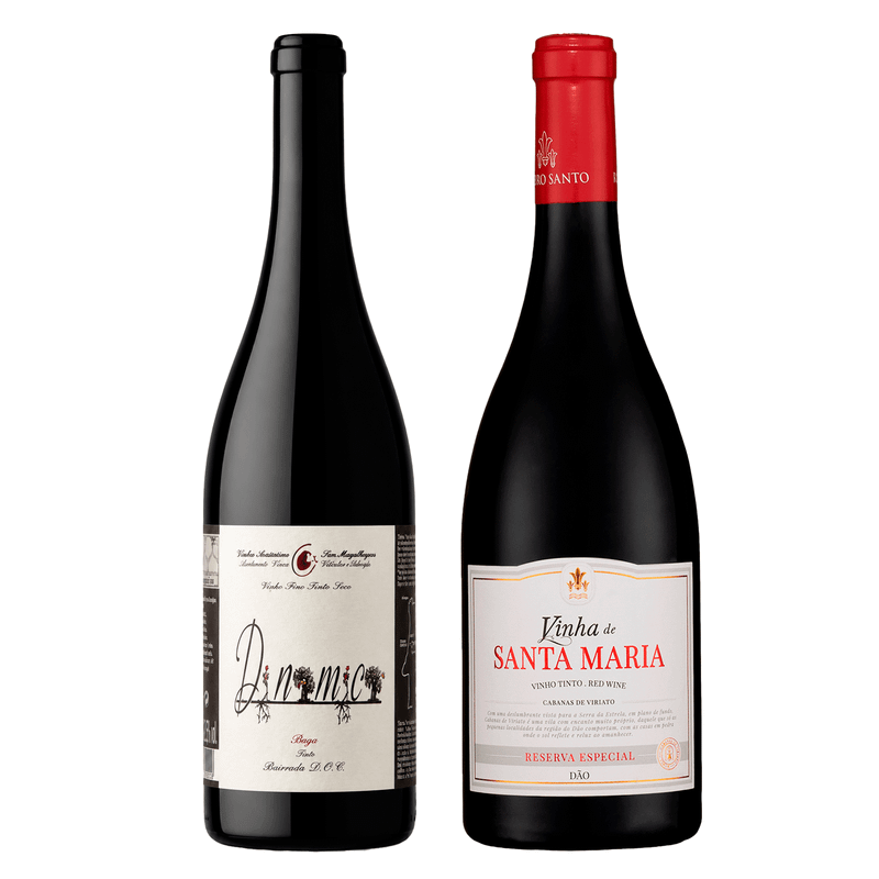 Kit 2 Vinhos Portugueses Filipa Pato Dinamica/ Santa Maria Reserva Especial