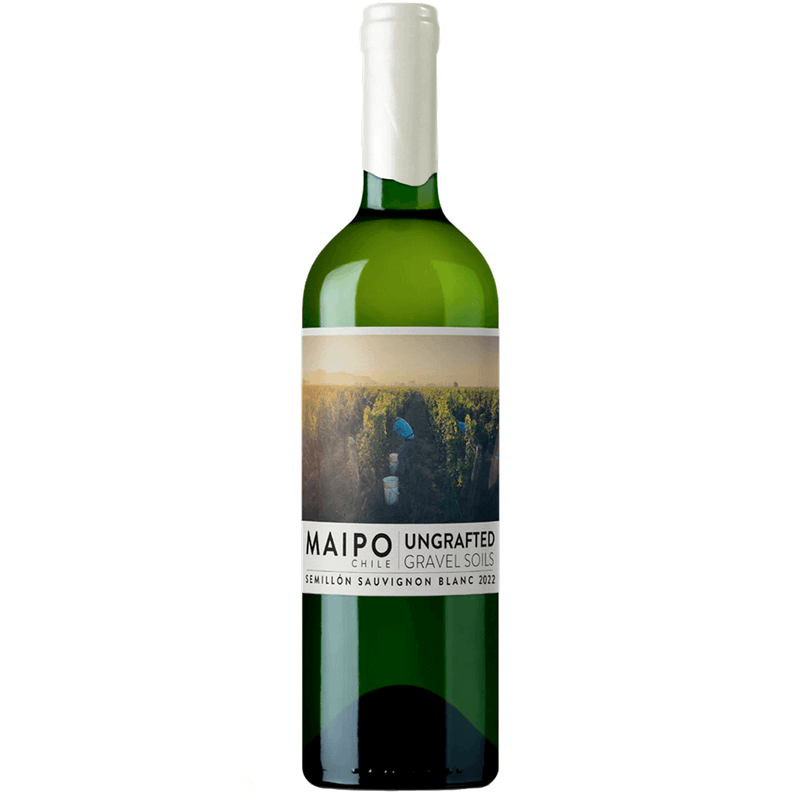 Vinho Branco Chileno De Martino Ungrafted Semillón Sauvignon Blanc 750ml